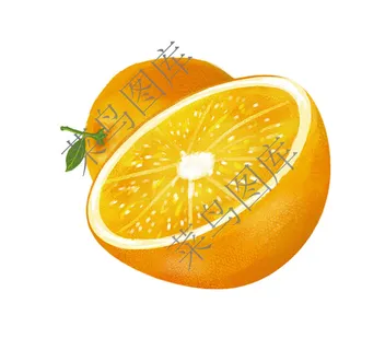 橙，橘子高清图