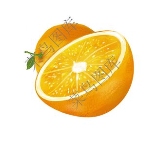 橙，橘子高清图