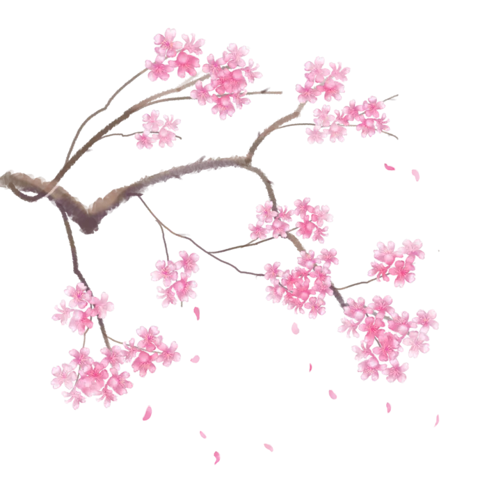 春天浪漫粉红色樱花手绘樱花梅花桃花花朵图片PNG免扣素材