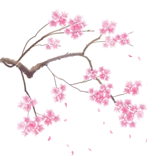 春天浪漫粉红色樱花手绘樱花梅花桃花花朵图片PNG免扣素材