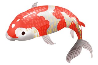 手绘烫金国潮中国风卡通锦鲤鱼金鱼插画装饰元素PSD设计素材