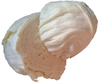 整个对切大头菜包菜卷心菜圆白菜菜丝十字花科蔬菜免抠实物实拍摄影元素素材