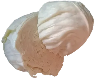 整个对切大头菜包菜卷心菜圆白菜菜丝十字花科蔬菜免抠实物实拍摄影元素素材