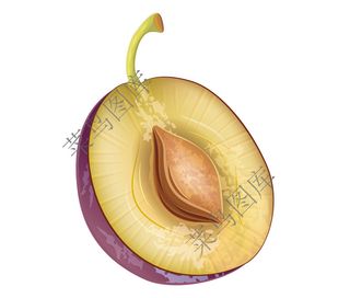 李子对切矢量图