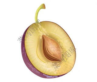 李子对切矢量图