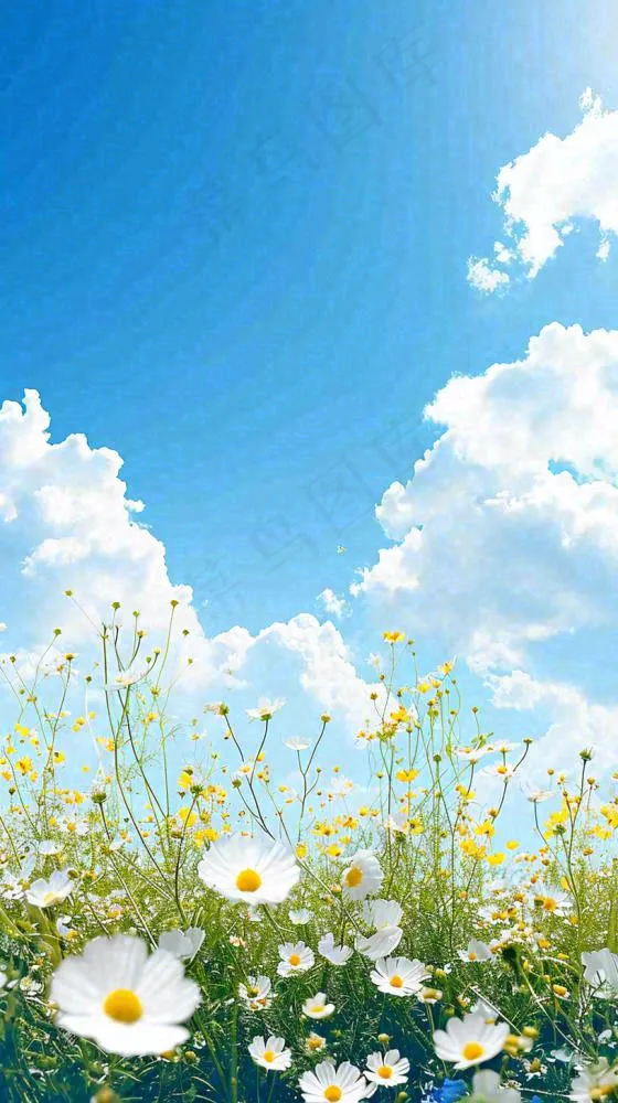 城市晴天阳光鲜花春天蓝天白云，立夏小满(816x1456)