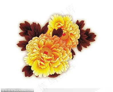 中国传统手工绘画-两朵橘黄色牡丹花