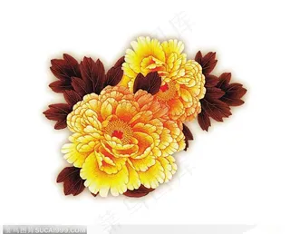 中国传统手工绘画-两朵橘黄色牡丹花