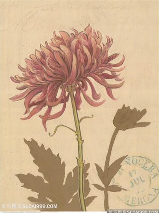 欧式油画花瓶装饰画