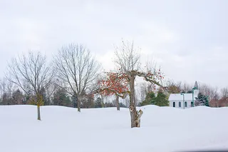 风景 天空 旅行美丽 (8)