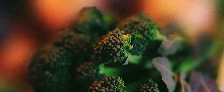 蔬菜西兰花西红柿番茄摄影摄影图 蔬菜西兰花西红柿番茄摄影摄影图