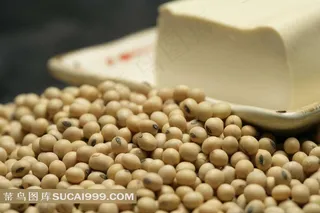 黄豆豆腐静物素材