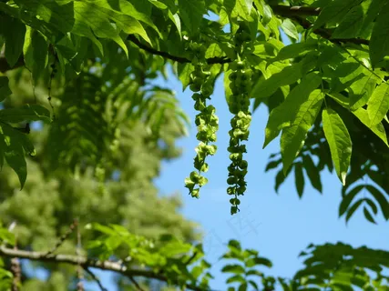 风景图片素材 风景图片素材