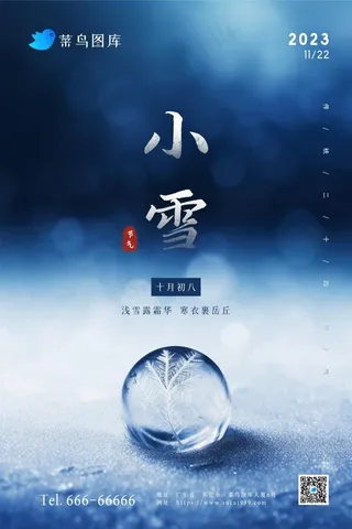 小雪蓝色冰霜冰花简约节气海报