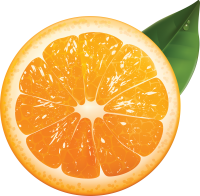 73_orange_PNG775