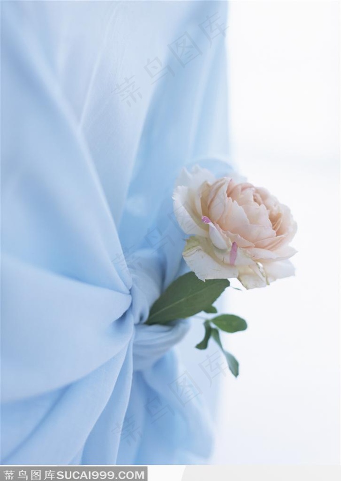蓝色纱布与鲜花的特写