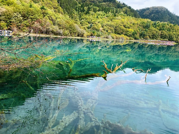 山水蕴含清辉，清辉能娱人，水清月清