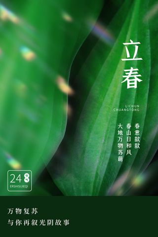 创意立春2月二月春天春季你好24二十四节气广告海报素材设计模板