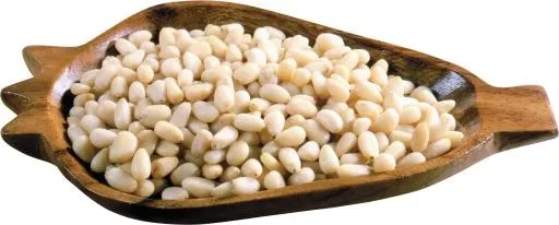 松子 PNG免抠(5621x2270)