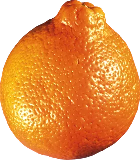 橘子免抠素材 (11)