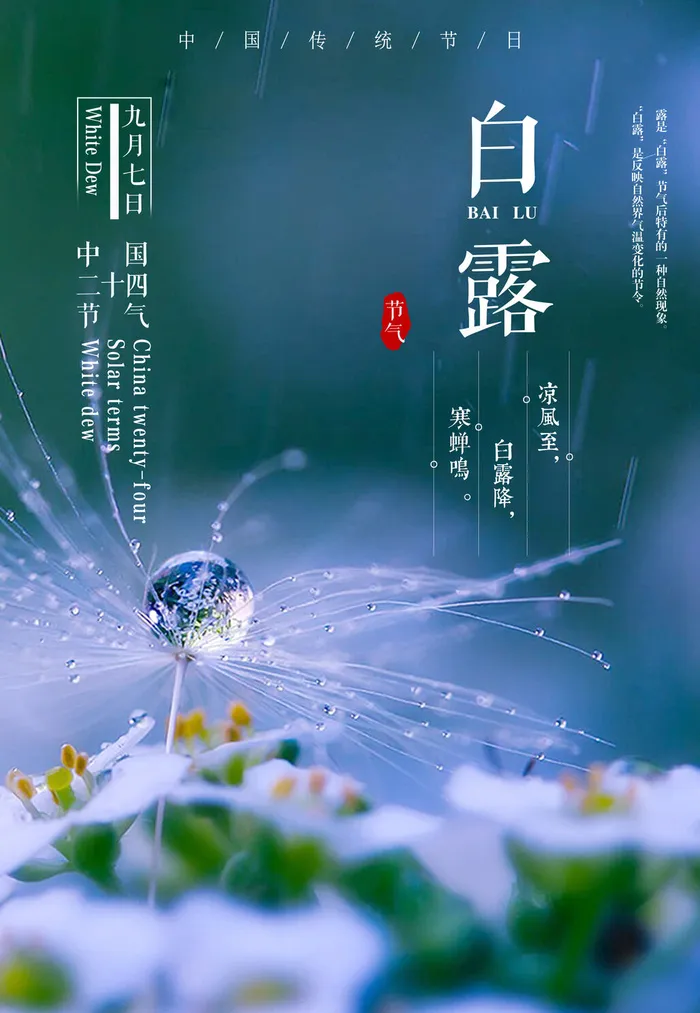 节气白露海报psd模版下载