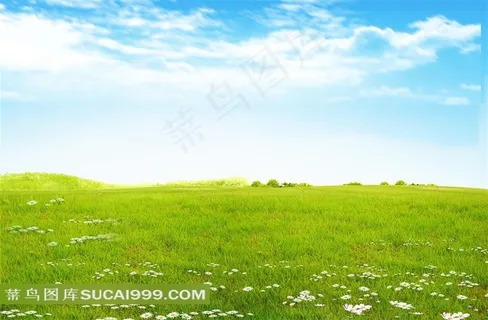 蓝天白云下的草地