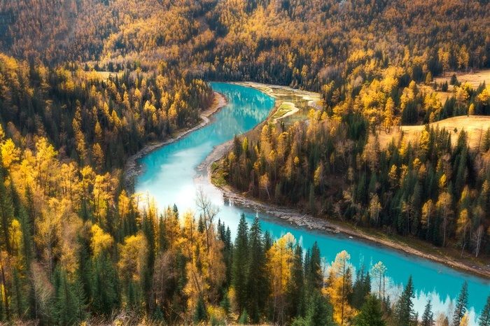 森林里的蓝色河流风景图片