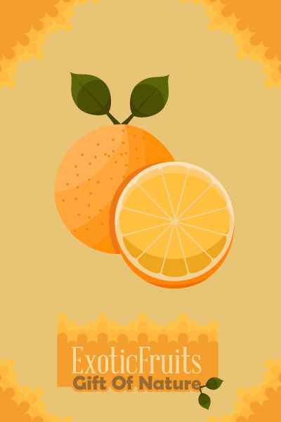 自然风景动物植物扁平矢量插画