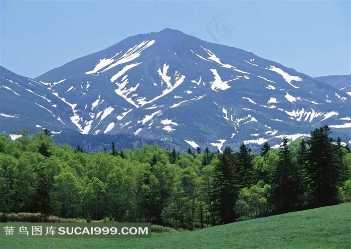 雪山森林高清摄影图