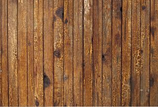 大理石花卉装饰背景墙