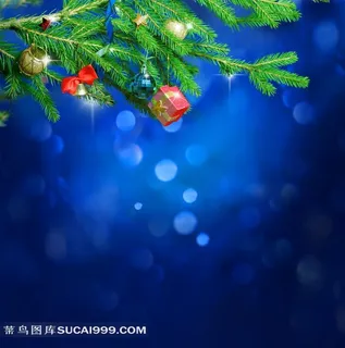 圣诞背景圣诞树枝 圣诞背景圣诞树枝