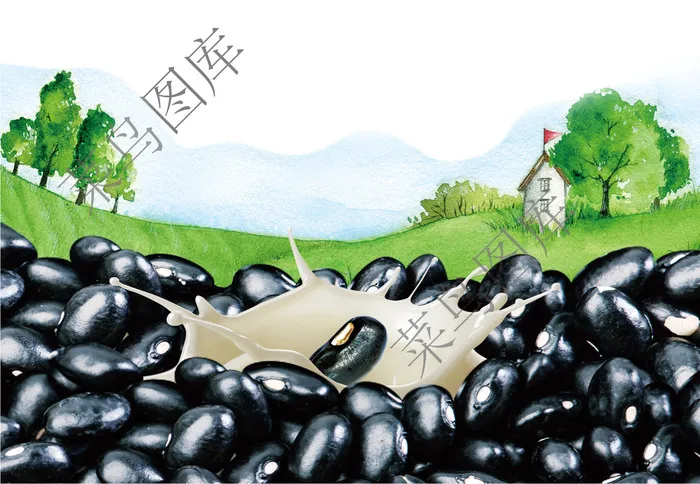 黑豆背景图psd模版下载