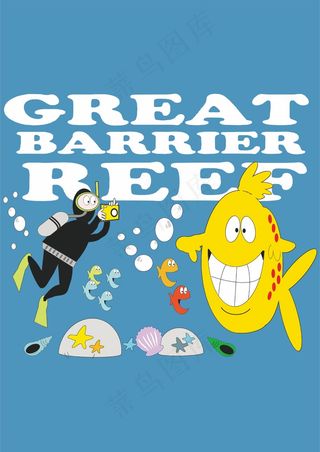 潜水员 海洋生物 贝壳