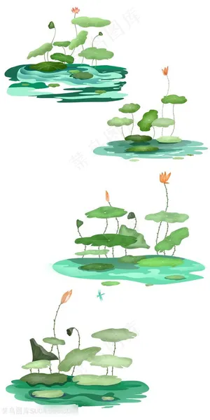 植物图片插画荷花大全 植物图片插画荷花大全