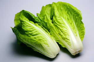 两颗白菜青菜蔬菜摄影图