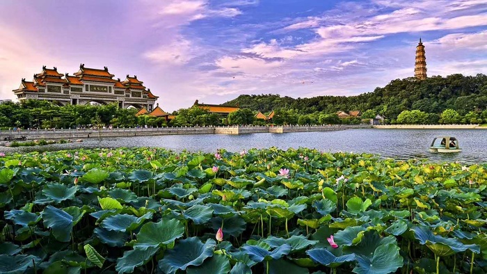 顺德园顺峰山公园 (1)