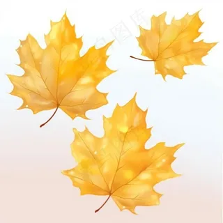 秋天落叶梧桐叶氛围插画素材背景