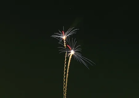 烟花夜空中 烟花夜空中