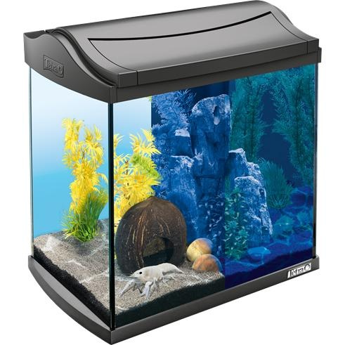 水族馆 PNG免抠