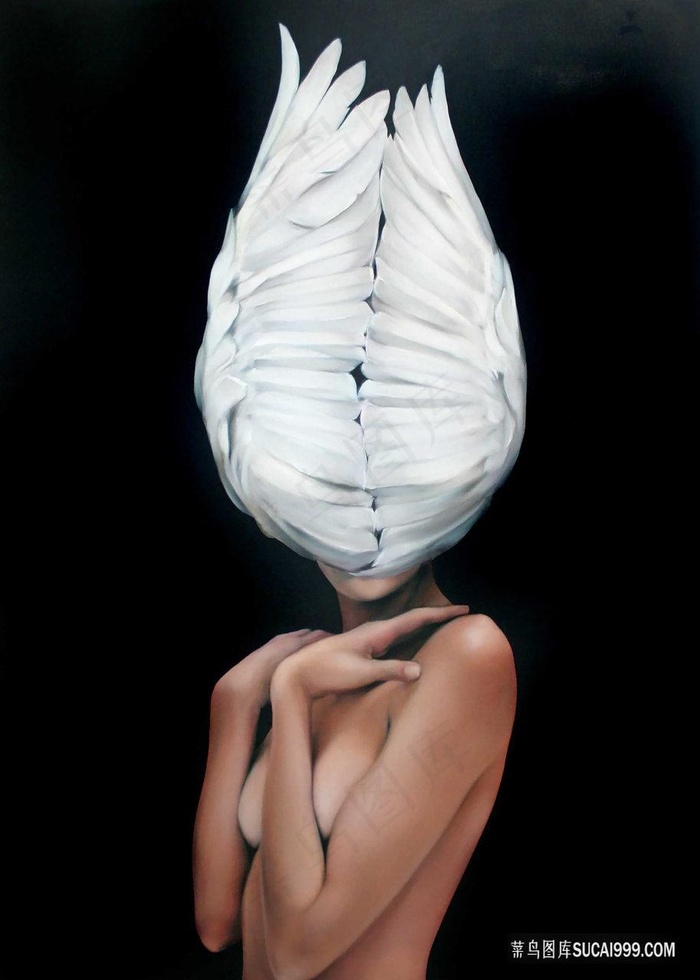 带翅膀女性装饰画