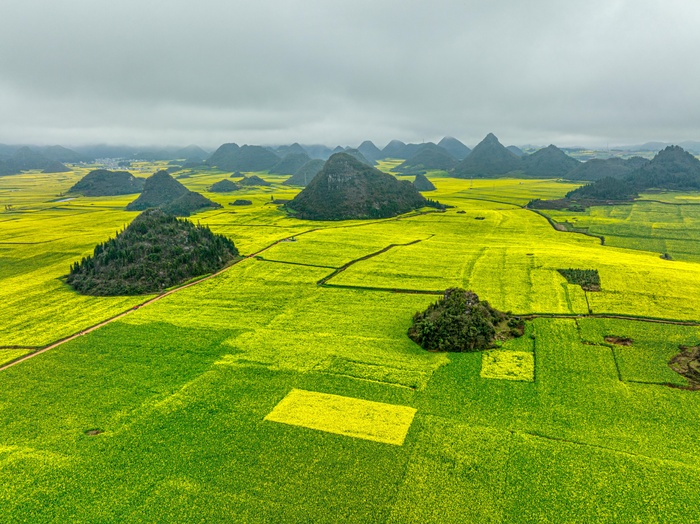 航拍罗平油菜花