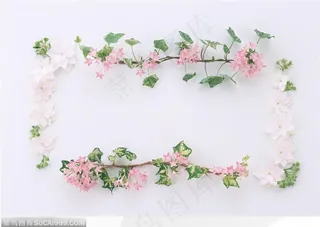 相框边框-两条漂亮的花边