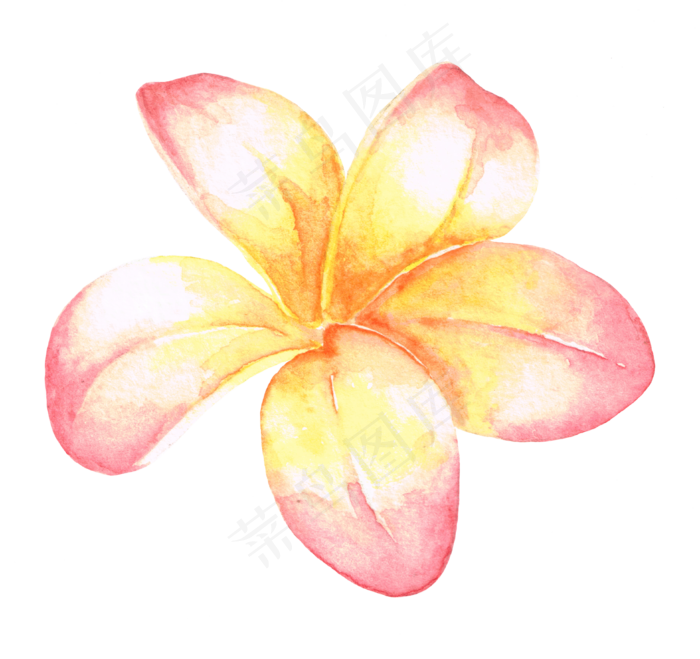 水彩插画-20