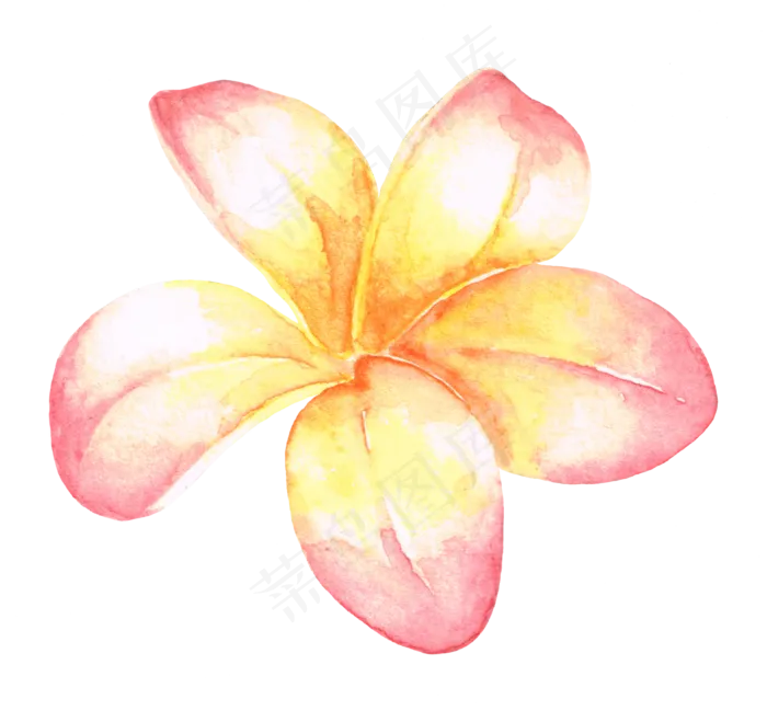 水彩插画-20