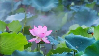 夏天文案 夏天活动 夏天夏日 夏天主题