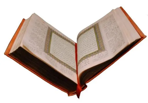 * PNG免抠(850x590)