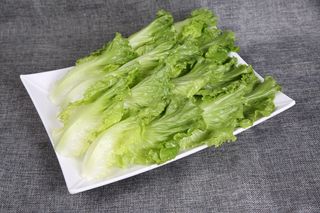 火锅菜品配菜生菜青菜时蔬