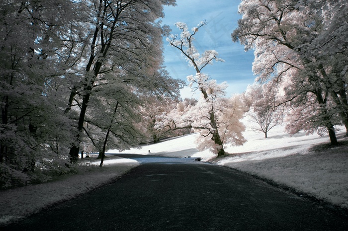 冬季森林雪景图