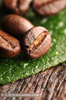 咖啡豆绿叶高清图片