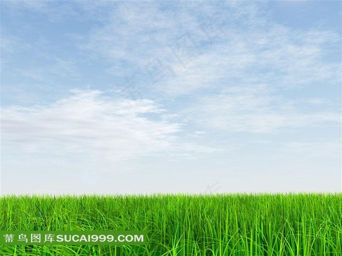 绿色草地天空风景图片下载